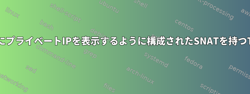 ICMP応答にプライベートIPを表示するように構成されたSNATを持つTCPDUMP