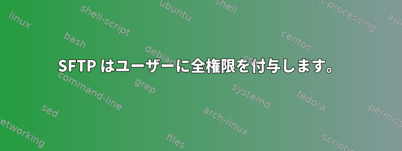 SFTP はユーザーに全権限を付与します。