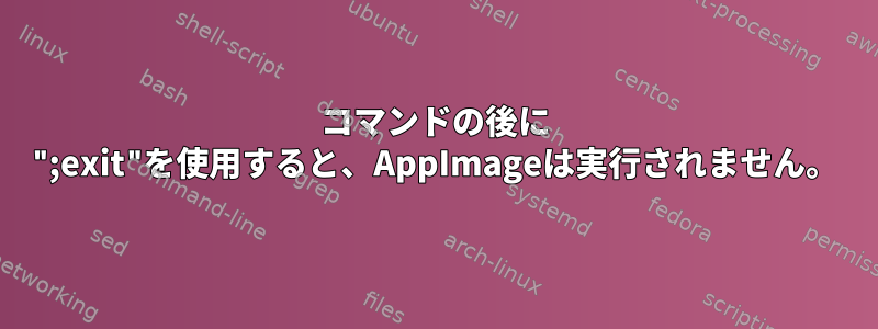 コマンドの後に ";exit"を使用すると、AppImageは実行されません。