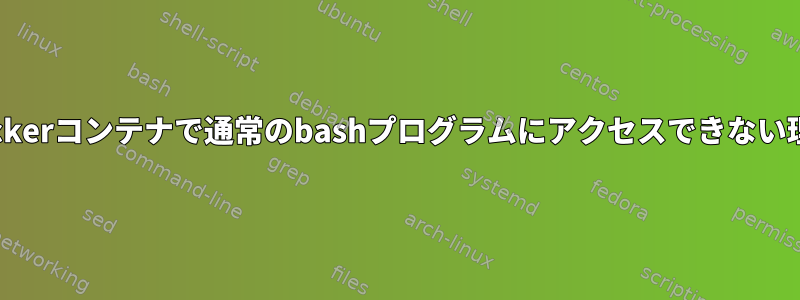 Dockerコンテナで通常のbashプログラムにアクセスできない理由