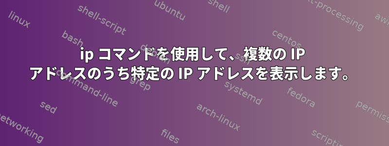 ip コマンドを使用して、複数の IP アドレスのうち特定の IP アドレスを表示します。