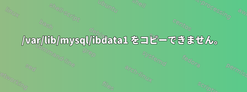 /var/lib/mysql/ibdata1 をコピーできません。