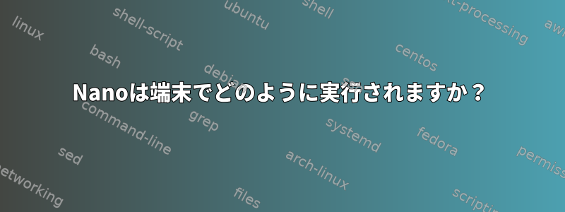 Nanoは端末でどのように実行されますか？