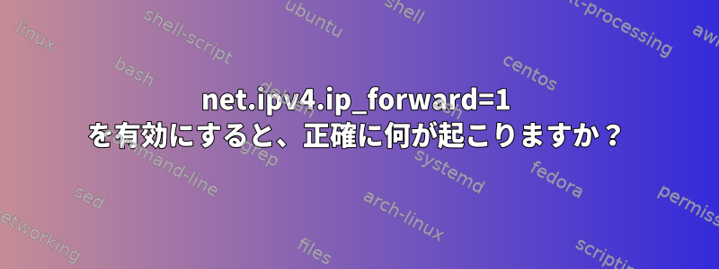 net.ipv4.ip_forward=1 を有効にすると、正確に何が起こりますか？