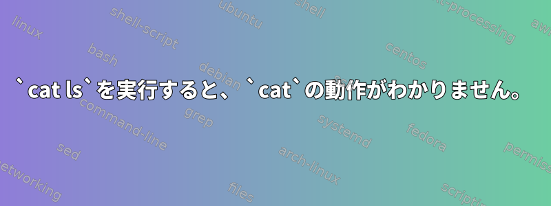 `cat ls`を実行すると、 `cat`の動作がわかりません。