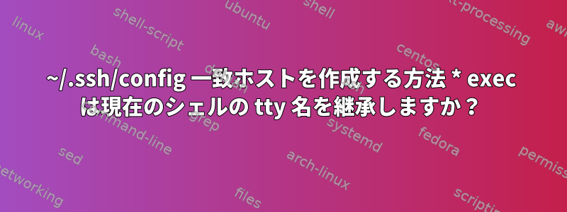 ~/.ssh/config 一致ホストを作成する方法 * exec は現在のシェルの tty 名を継承しますか？