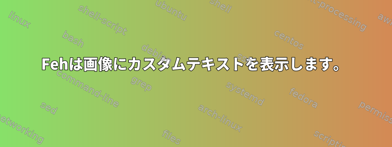 Fehは画像にカスタムテキストを表示します。