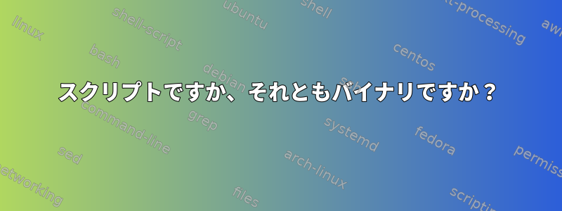 スクリプトですか、それともバイナリですか？