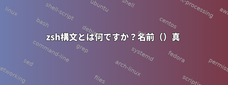 zsh構文とは何ですか？名前（）真