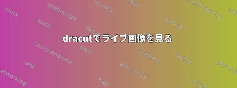 dracutでライブ画像を見る