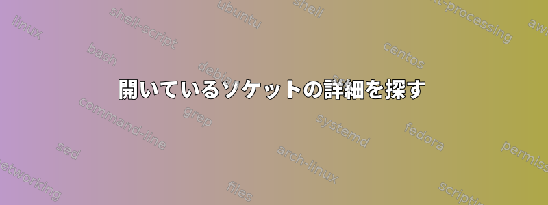 開いているソケットの詳細を探す