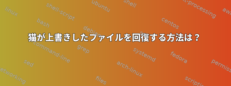 猫が上書きしたファイルを回復する方法は？