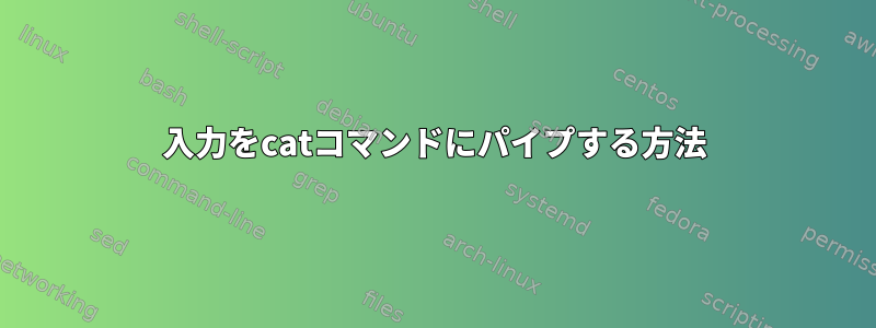 入力をcatコマンドにパイプする方法