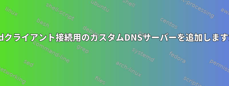 pppdクライアント接続用のカスタムDNSサーバーを追加しますか？