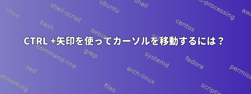 CTRL +矢印を使ってカーソルを移動するには？