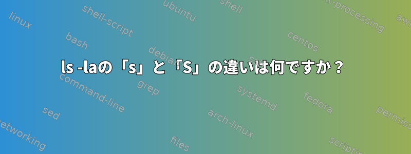 ls -laの「s」と「S」の違いは何ですか？