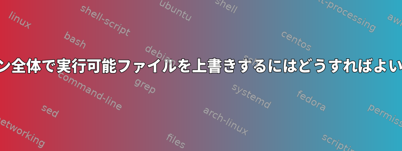 セッション全体で実行可能ファイルを上書きするにはどうすればよいですか？