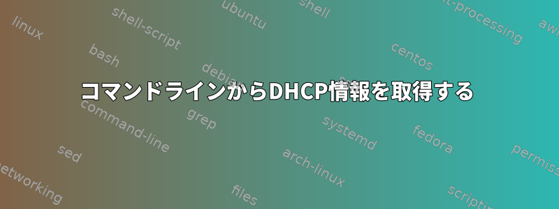 コマンドラインからDHCP情報を取得する