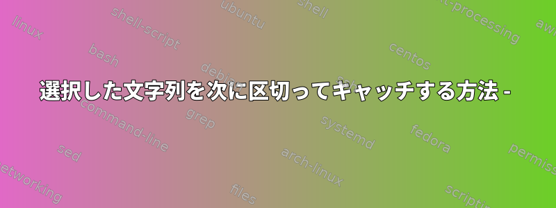 選択した文字列を次に区切ってキャッチする方法 -