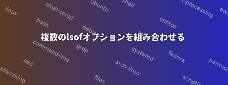 複数のlsofオプションを組み合わせる