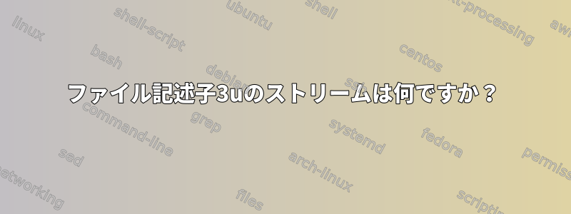 ファイル記述子3uのストリームは何ですか？