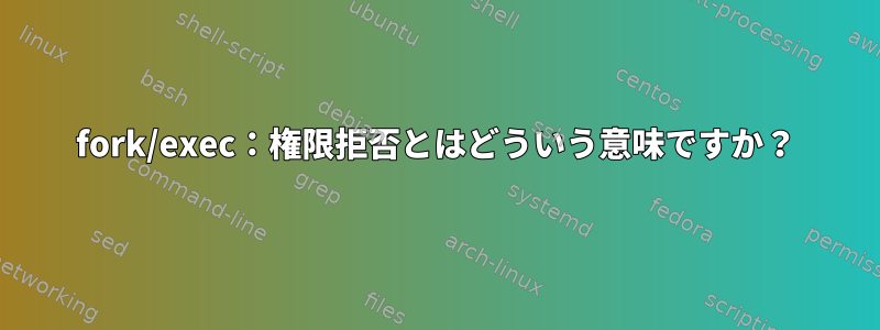 fork/exec：権限拒否とはどういう意味ですか？