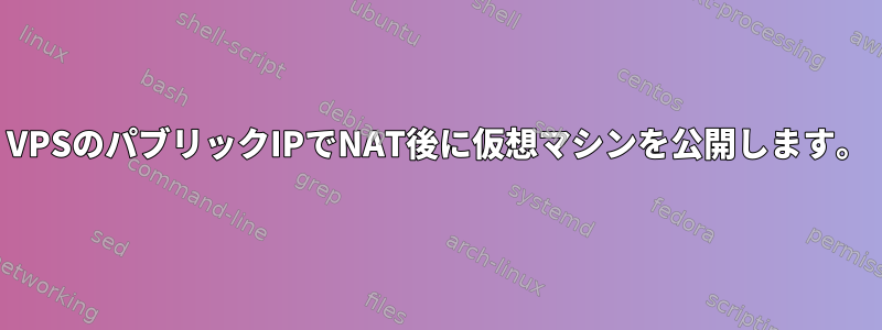 VPSのパブリックIPでNAT後に仮想マシンを公開します。