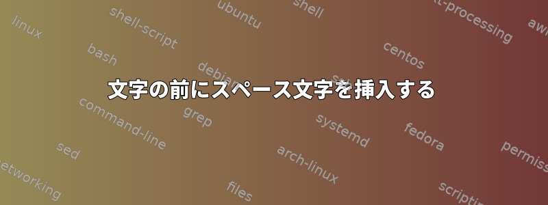 文字の前にスペース文字を挿入する