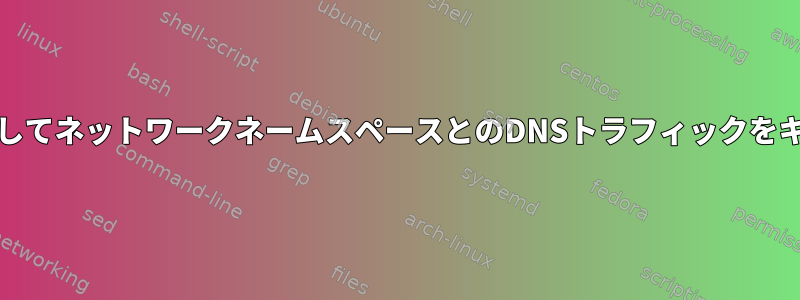 tsharkを使用してネットワークネームスペースとのDNSトラフィックをキャプチャする