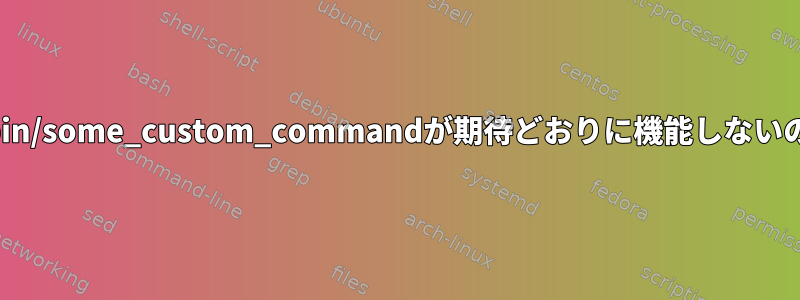 ~/USERNAME/bin/some_custom_commandが期待どおりに機能しないのはなぜですか？