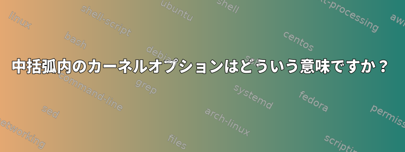 中括弧内のカーネルオプションはどういう意味ですか？