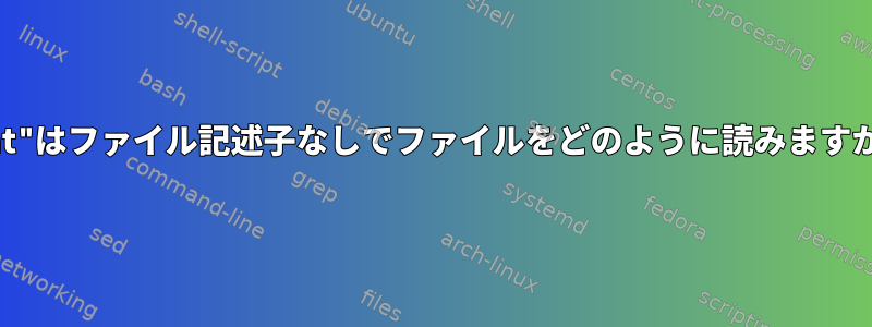 "cat"はファイル記述子なしでファイルをどのように読みますか？