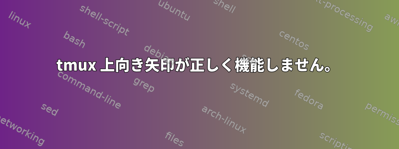 tmux 上向き矢印が正しく機能しません。