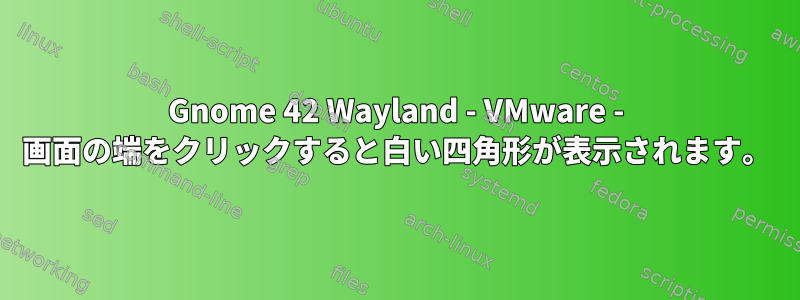 Gnome 42 Wayland - VMware - 画面の端をクリックすると白い四角形が表示されます。