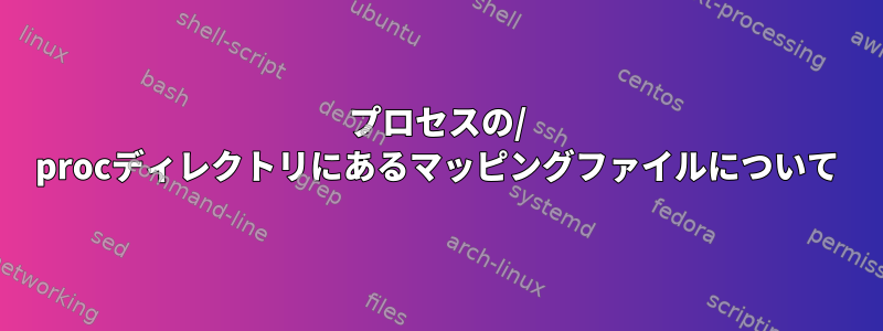 プロセスの/ procディレクトリにあるマッピングファイルについて