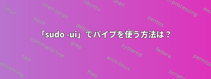 「sudo -ui」でパイプを使う方法は？