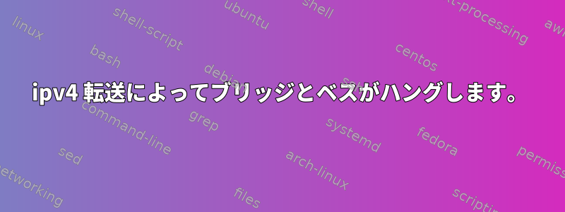 ipv4 転送によってブリッジとベスがハングします。