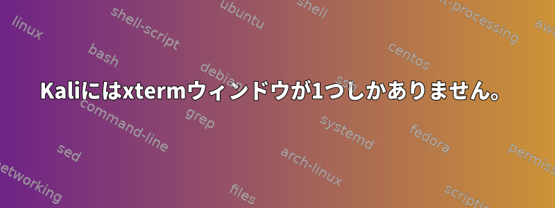 Kaliにはxtermウィンドウが1つしかありません。