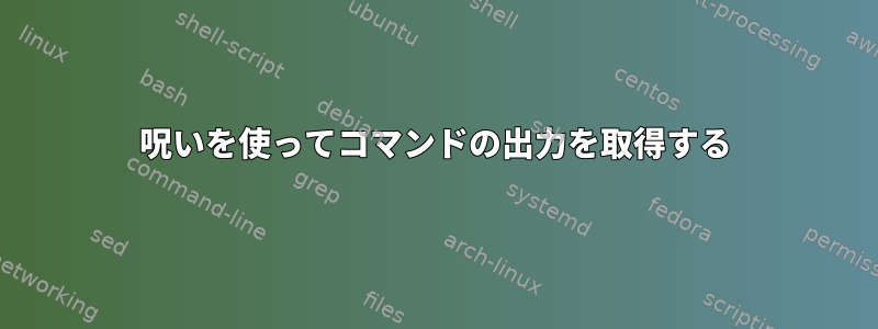 呪いを使ってコマンドの出力を取得する