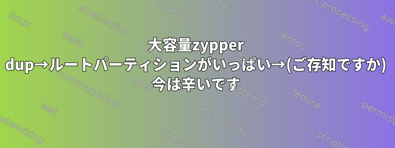 大容量zypper dup→ルートパーティションがいっぱい→(ご存知ですか) 今は辛いです