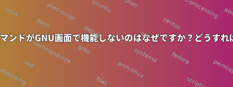 AlpineのViewerコマンドがGNU画面で機能しないのはなぜですか？どうすれば解決できますか？