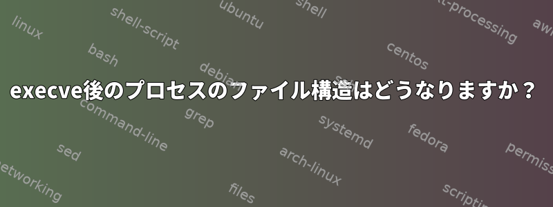 execve後のプロセスのファイル構造はどうなりますか？