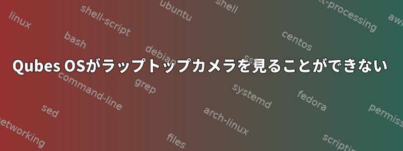 Qubes OSがラップトップカメラを見ることができない
