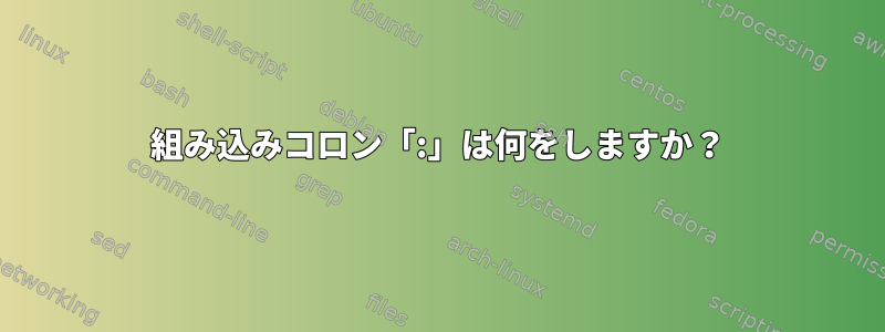 組み込みコロン「:」は何をしますか？