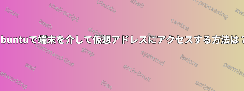 Ubuntuで端末を介して仮想アドレスにアクセスする方法は？