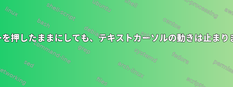 矢印キーを押したままにしても、テキストカーソルの動きは止まりません。