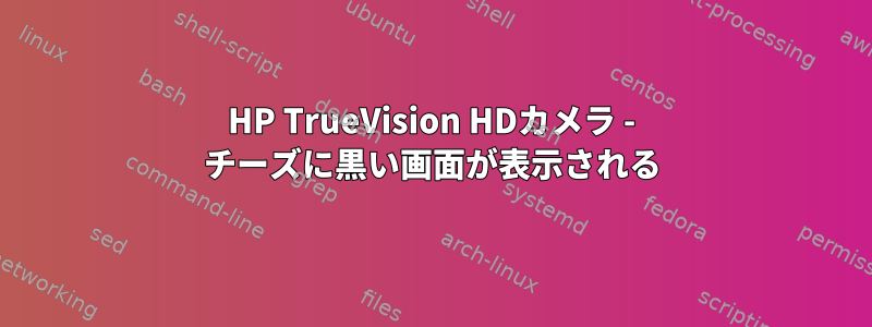 HP TrueVision HDカメラ - チーズに黒い画面が表示される