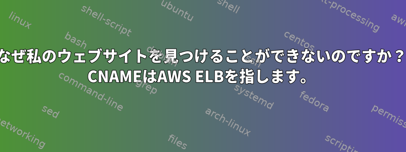 なぜ私のウェブサイトを見つけることができないのですか？ CNAMEはAWS ELBを指します。