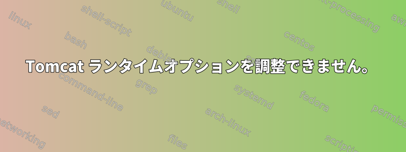 Tomcat ランタイムオプションを調整できません。