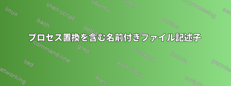 プロセス置換を含む名前付きファイル記述子